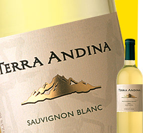 Terra Andina Sauvignon Blanc