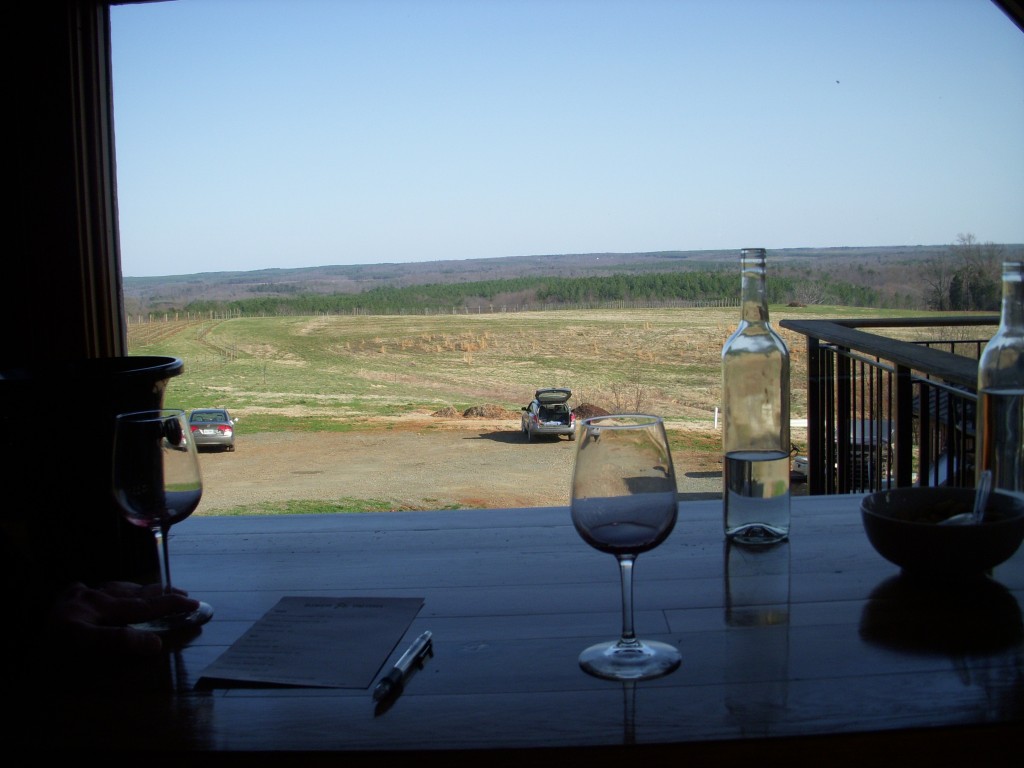 Looking out from Blenheim Vineyards