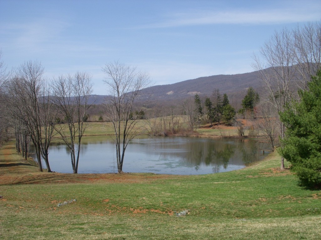 The pond at Pollak Vineyards