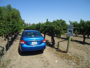 The parking lot at Retzlaff Vineyards