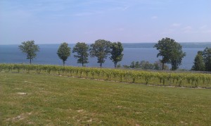 Lake Cayuga from Thirsty Owl