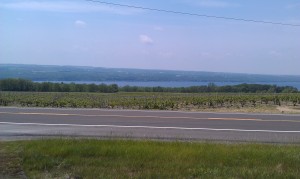 Lake Seneca from Shalestone Vineyard