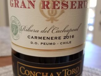 Image of a bottle of 2016 Concha y Toro Gran Reserva Serie Riberas Carmenere