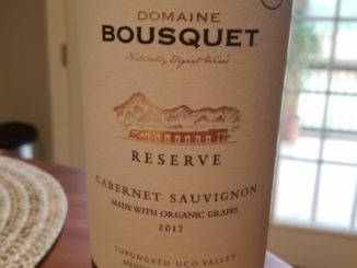 Image of a bottle 2017 Domaine Bousquet Reserve Cabernet Sauvignon