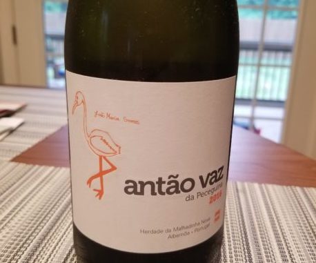 Image of a bottle of 2016 Malhadinha Antao Vaz da Pecaguina