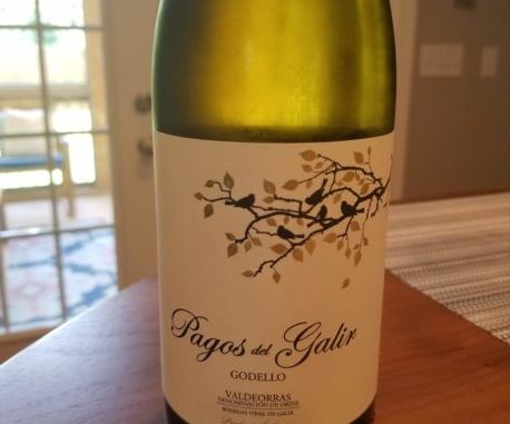 Image of a bottle of 2017 Pagos de Galir Godello